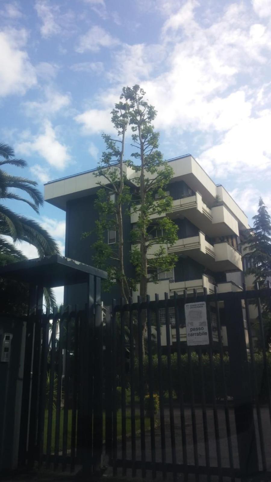 Casa Giordano Apartment Rome Exterior photo